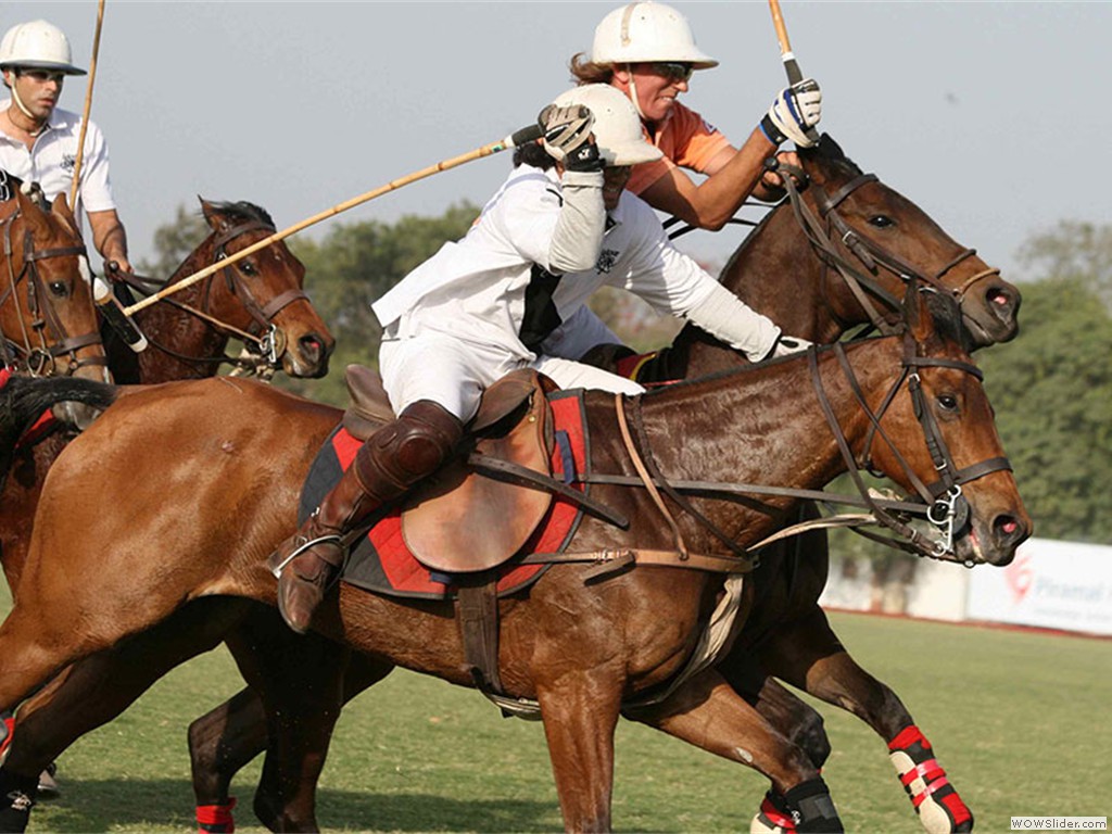 horse-polo